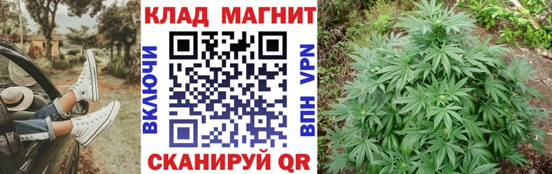 Наркота Тавда Гашиш Конопля Мефедрон